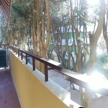 Zona Tranquilla Marina Di Carrara
